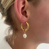Elara Pearl Loop Drops